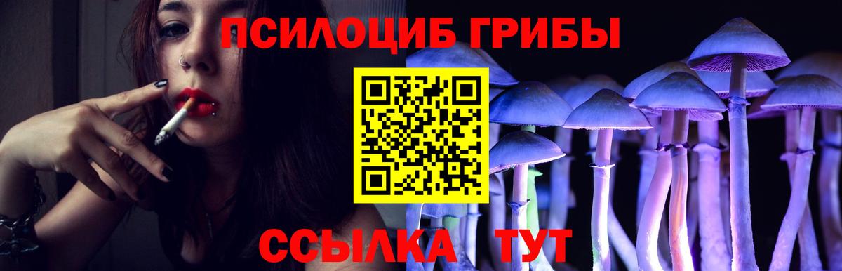 Псилоцибиновые грибы MAGIC MUSHROOMS  Галлюциногенные грибы Psilocybe  Вход с VPN  купить наркотик  Лянтор 